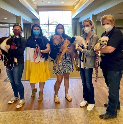 Staff and residents interact with therapy animals.