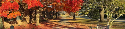 Colorful autumn path with red and orange leaves