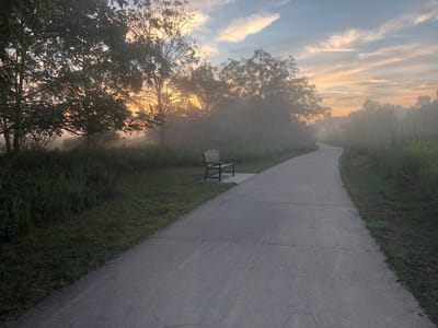 Serene path with a bench surrounded by nature.