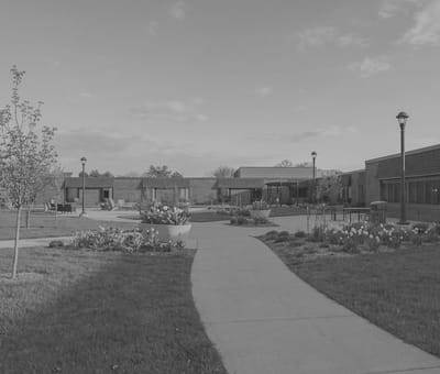 Pathway leading through landscaped outdoor area