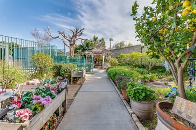 Pathway through a garden with flowers and trees