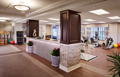 Interior view of a modern rehabilitation gym