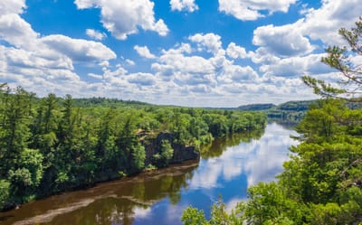 Scenic view of a river surrounded by greenery.