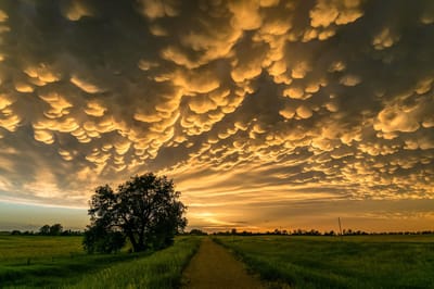 Colorful clouds over a rural landscape at sunset.