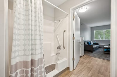 Interior view of a bathroom and living area
