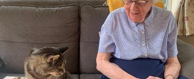 Elderly resident interacting with a cat