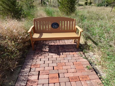 Quiet bench in a grassy outdoor area