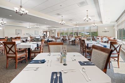 Bright dining room set for a meal service