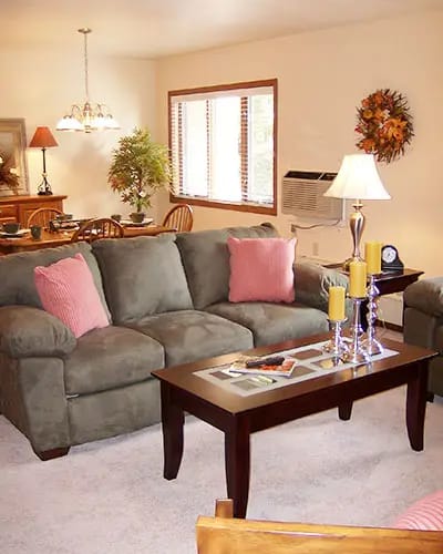 Cozy living room area with couch and decor