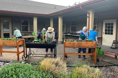 Residents gardening in an outdoor space