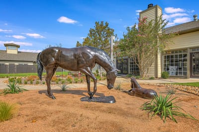 Outdoor sculpture of a horse near the facility
