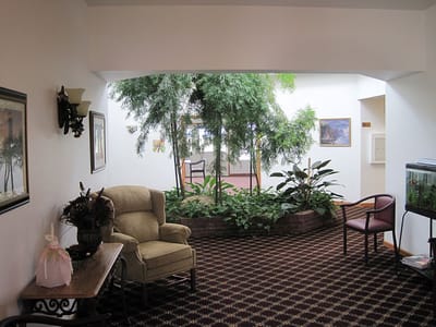 A cozy indoor common area with greenery