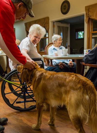 Residents interacting with a therapy dog in a common area