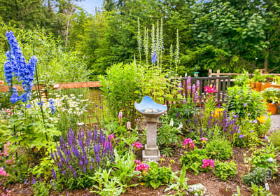 Vibrant garden with flowers and a birdbath
