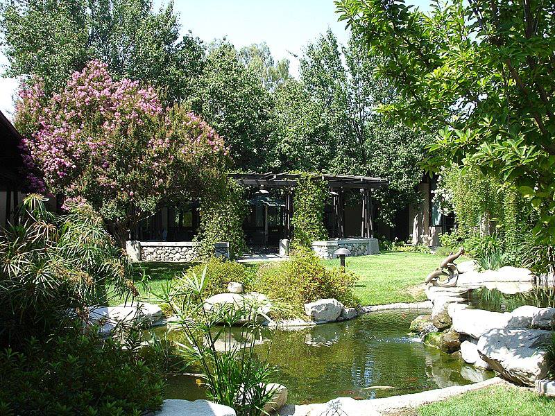 Lush garden area with pond and greenery