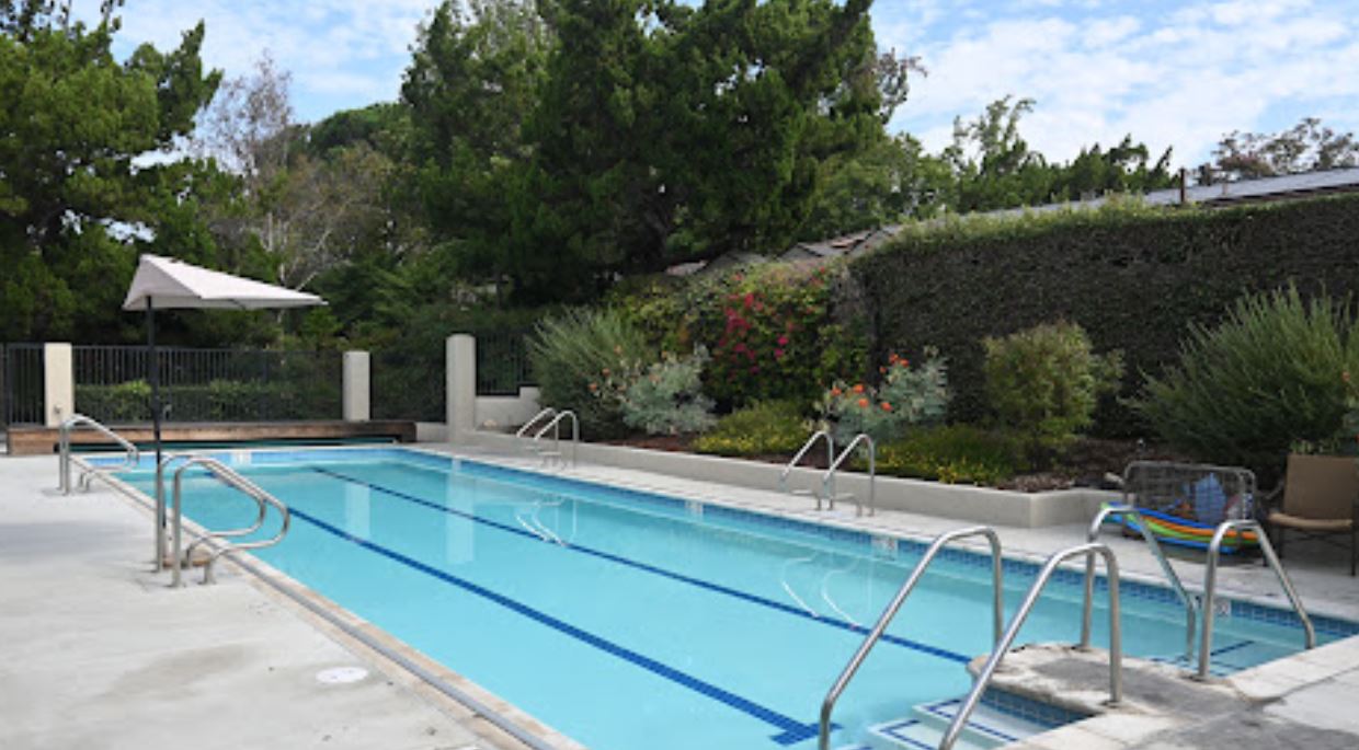 Outdoor swimming pool surrounded by greenery