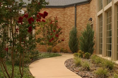 Pathway through landscaped garden with flowers