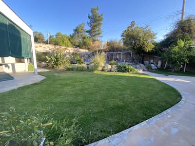 Lush outdoor area with garden and seating