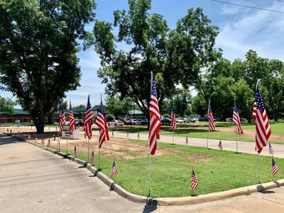Row of American flags in a grassy area
