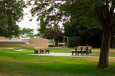 Pathway surrounded by benches in a peaceful outdoor area