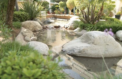 A tranquil outdoor garden with rocks and water features.