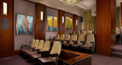 Interior view of a cozy movie theater with plush seating