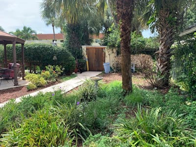 Lush garden area with palm trees and pathway