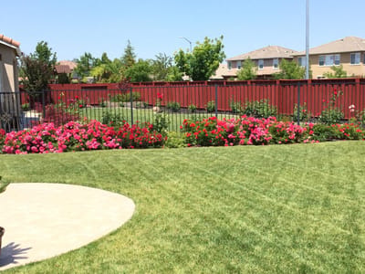 Well-kept garden with vibrant flowers and green lawn