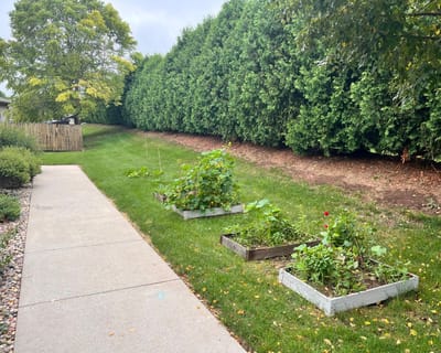 Garden area with raised beds alongside a walkway