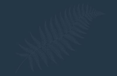 Abstract fern design on a dark background