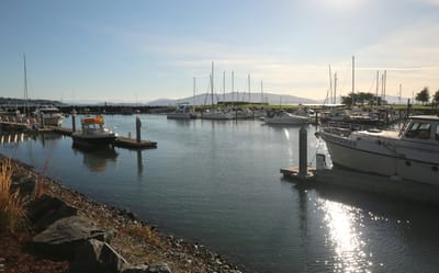 Marina view with boats and calm water