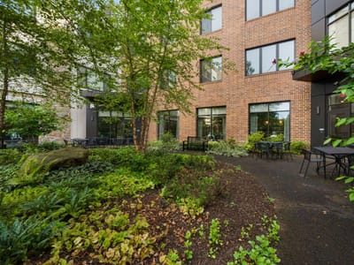 A serene outdoor area with lush greenery and seating