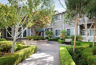 Lush garden area with pathways and seating