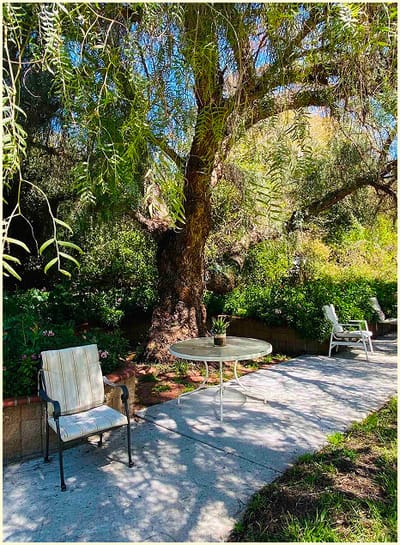Serene outdoor space with seating and greenery