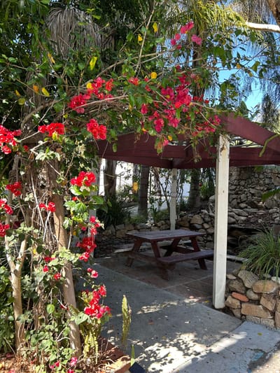 A shaded outdoor seating area with flowers