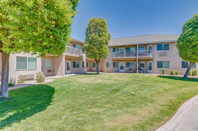 Well-maintained outdoor space with trees and grass