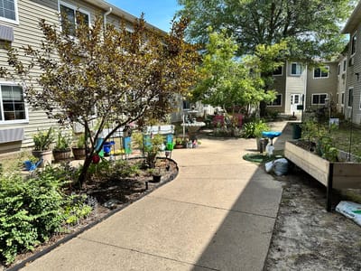 Garden pathway surrounded by plants and flowers
