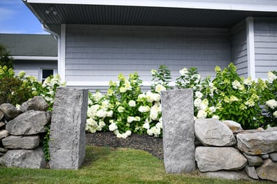 Outdoor garden area with white flowers and stone entryway
