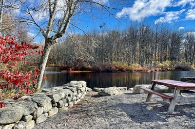 Scenic outdoor area by a lake with picnic table