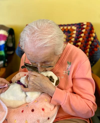 The Inn at Fairview, nursing home in Hudson, NH — Elderly woman cuddling a bunny in a cozy setting