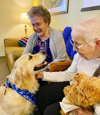 The Inn at Fairview, nursing home in Hudson, NH — Residents interacting with a therapy dog in a cozy lounge