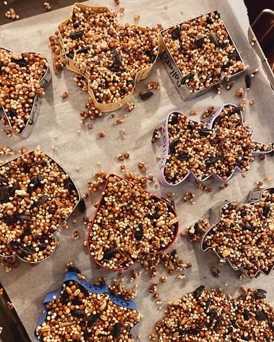 The Inn at Fairview, nursing home in Hudson, NH — Colorful birdseed molds on a baking sheet