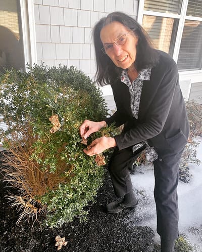 The Inn at Fairview, nursing home in Hudson, NH — Resident tending to greenery outside the facility