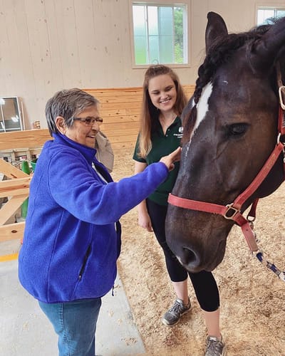 The Inn at Fairview, nursing home in Hudson, NH — Resident interacting with a horse in a stable