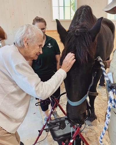 The Inn at Fairview, nursing home in Hudson, NH — Senior resident interacting with a horse during therapy session