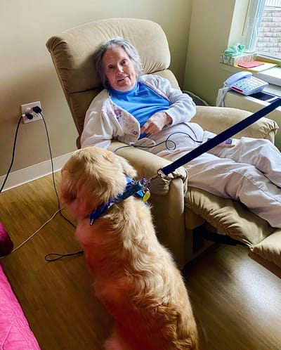 The Inn at Fairview, nursing home in Hudson, NH — Senior resident interacting with a golden retriever