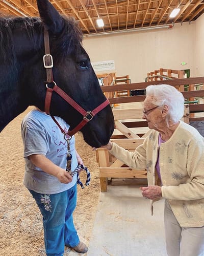 The Inn at Fairview, nursing home in Hudson, NH — Elderly woman interacting with a horse in a barn