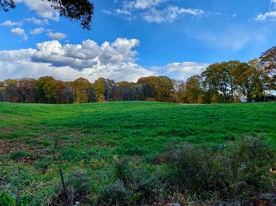 The Inn at Fairview, nursing home in Hudson, NH — Lush green field with autumn foliage and blue sky
