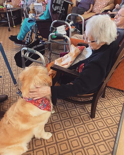 The Inn at Fairview, nursing home in Hudson, NH — Resident interacting with a golden retriever in a communal area