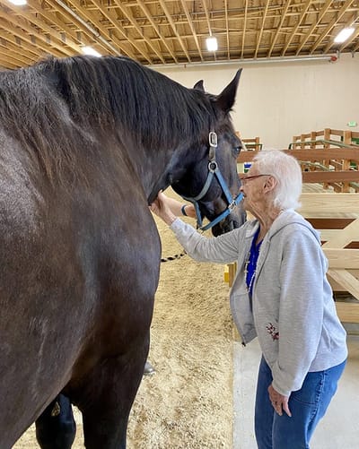 The Inn at Fairview, nursing home in Hudson, NH — Senior interacting with a large horse indoors
